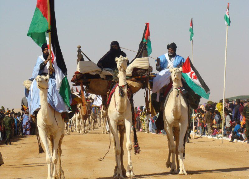 Ecuador manifiesta preocupación por la sistemática violación de los derechos humanos y las libertades fundamentales de los saharauis