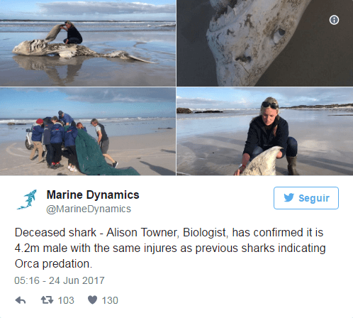 Información en Twitter