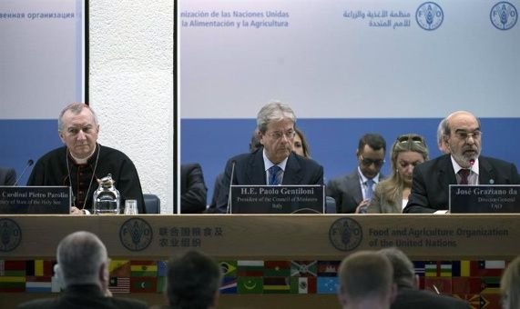 Los 194 miembros de la FAO deberán aprobar en la sesión 40° el programa de trabajo y el presupuesto de la organización correspondientes al período 2018-2019
