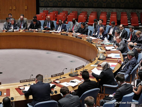 Consejo de Derechos Humanos de las Naciones Unidas