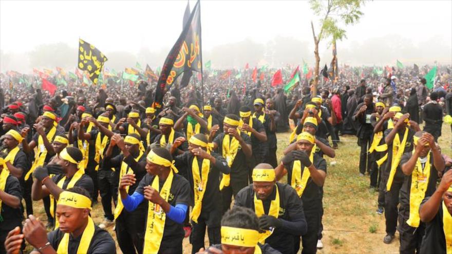 Decenas de miles de musulmanes chiíes conmemoran el día de Arbaín, que marca el martirio del Imam Husein (P), en Zaria, Nigeria
