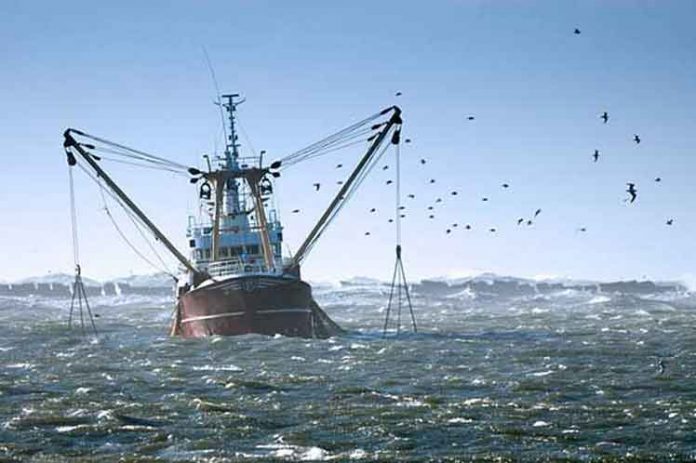 África pesca ilegal