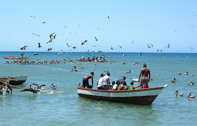 Pesca en el Caribe 