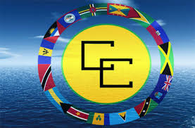logocaricom