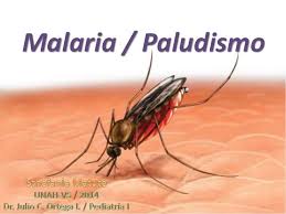 Malaria