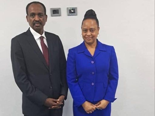 Evalúan apoyo de OMS a proceso de desarme en Etiopía