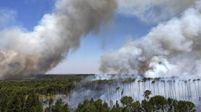 El humo se eleva a medida que los incendios se propagan por el Bosque Nacional de Brasilia Brasiljpg