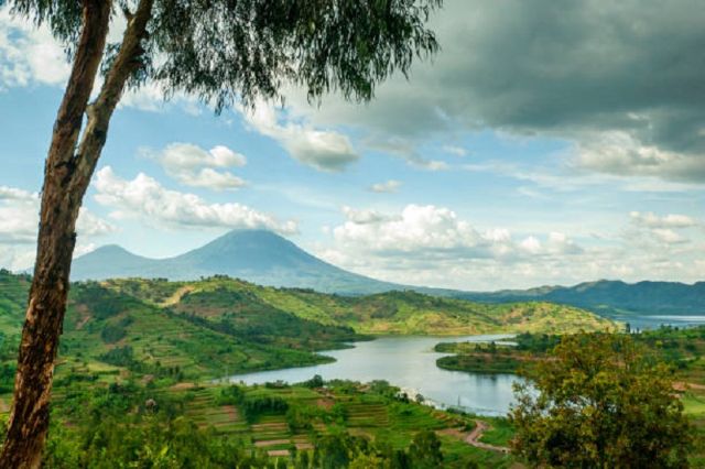 Parque Nacional Virunga / foto: Prensa Latina