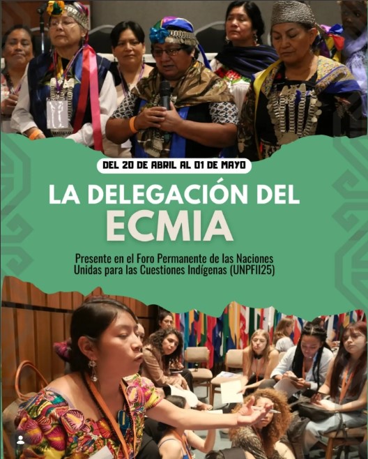 Foto: Instagram / ecmiaorg