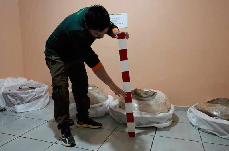 El arqueólogo Manoel Fabiano da Silva Santos muestra una escala de capas de suelo mientras explica la cronología histórica en el Departamento Nacional de Infraestructura de Transporte en Macapa, estado de Amapá, Brasil, el sábado 14 de marzo de 2026. (Foto AP/Eraldo Peres)