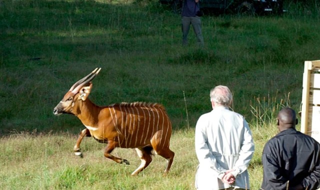 Foto: AP/Chris Tomlinson