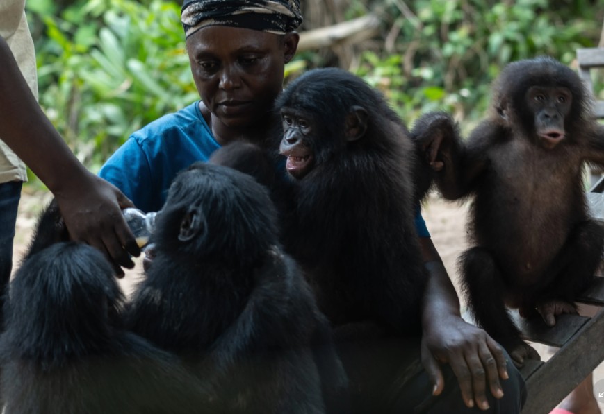 Foto: AP/Samy Ntumba Shambuyi