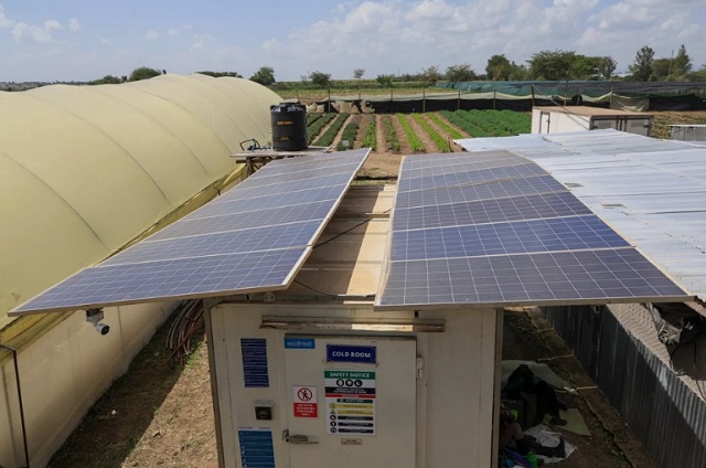 El almacenamiento en frío alimentado por energía solar