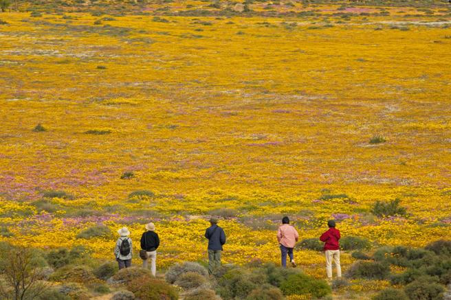 3.500 especies de plantas dan la bienvenida a la primavera en el Kalahari