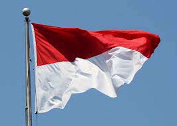 Bandera de Indonesia