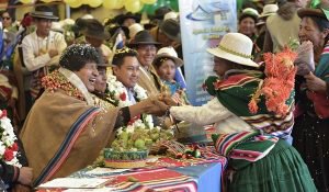 Bolivia celebra exportación de quinia a China