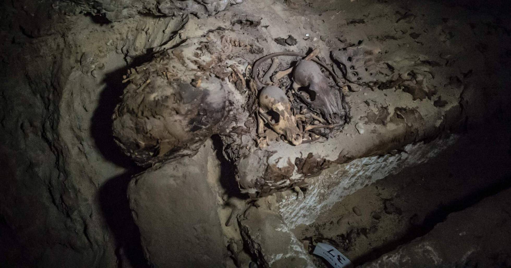 Han sido hallados restos de animales y dos papiros escritos en demótico antigua escritura egipcia