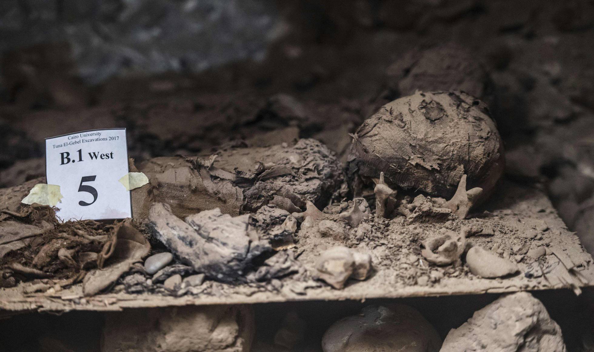 Imagen de una de las 17 momias halladas en el centro de Egipto