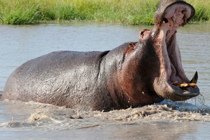 Moraleja de la historia si se pide un favor basado en una promesa se debe mantener la promesa
