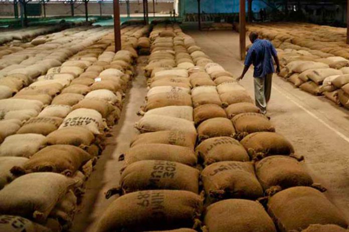 Toneladas de café Etíope 